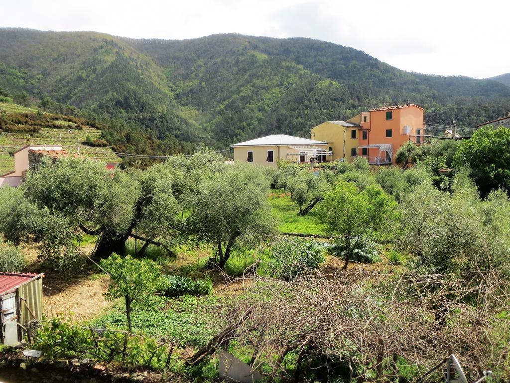 Creuza De 5 Terre Βίλα Volastra Εξωτερικό φωτογραφία