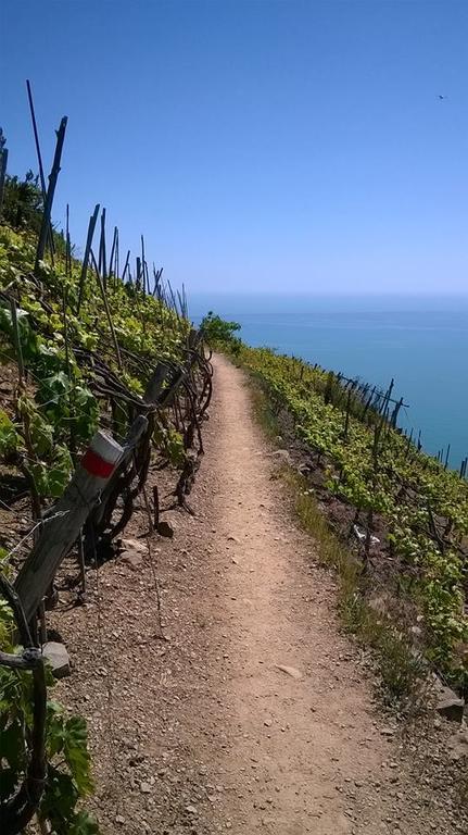Creuza De 5 Terre Βίλα Volastra Εξωτερικό φωτογραφία